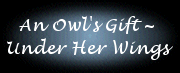 AnOwlsGift.gif (9449 bytes)