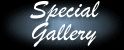 SpecialGalleryBanner.gif (4664 bytes)